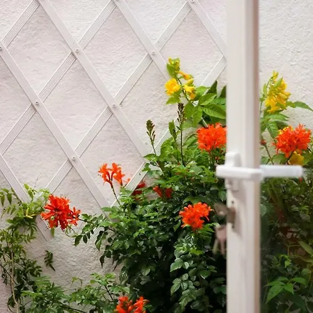 2 Bedroom With Patio Next To Avenida Da Liberdade