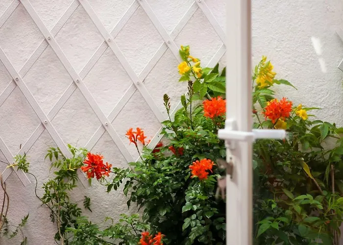2 Bedroom With Patio Next To Avenida Da Liberdade